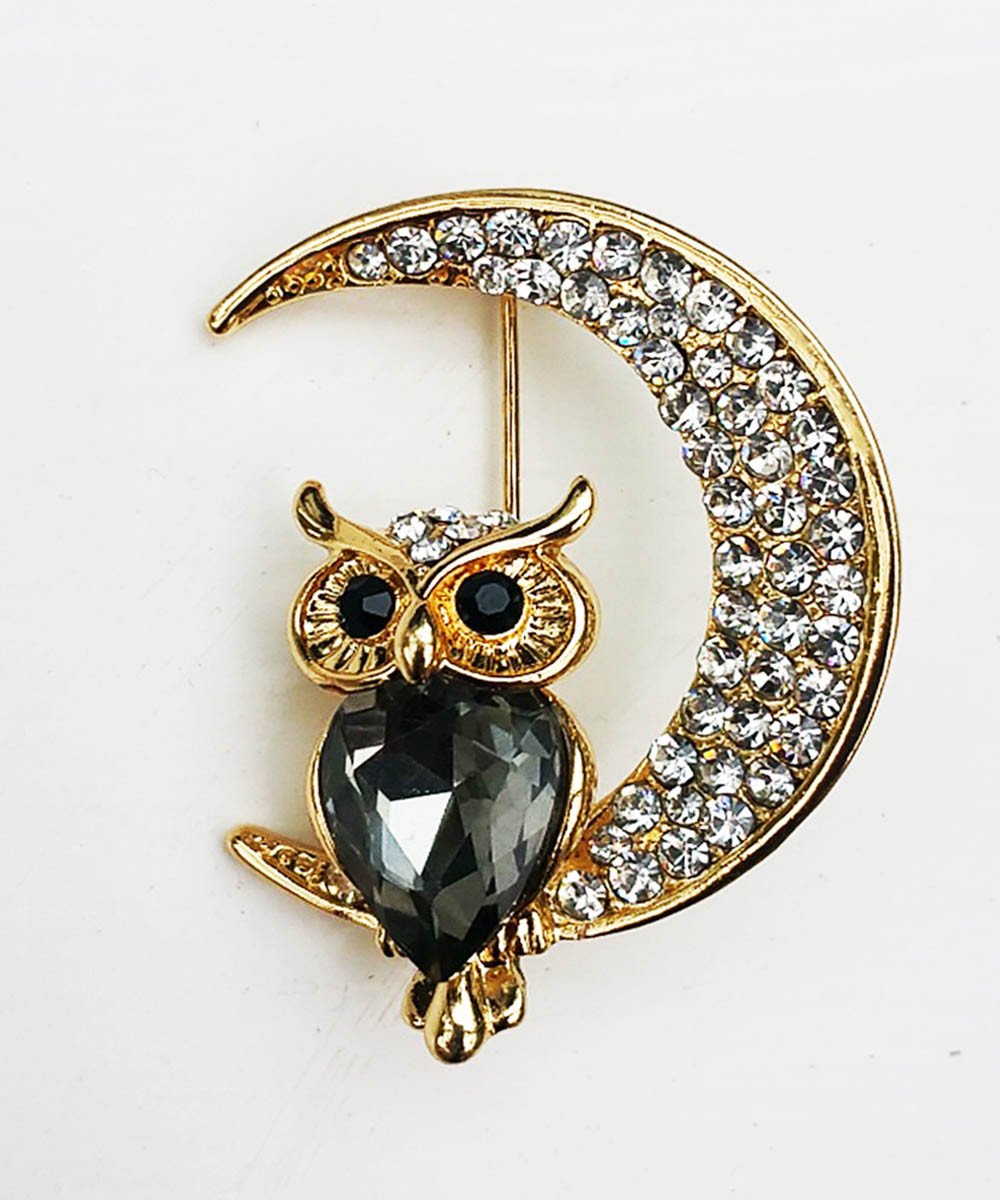 Dawnielle Owl on Moon Rhinestone Brooch